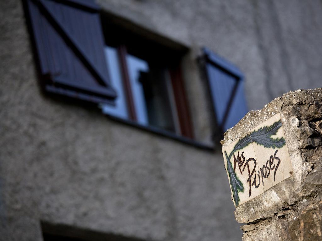 Penzion Mas Pinoses Les Llosses Exteriér fotografie